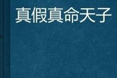 真假天子,揭秘古代皇权争夺的神秘面纱