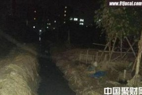 死因可疑,揭开死因背后的真相之谜