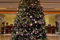 我最喜欢的圣诞树