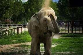 我们的动物园,动物乐园全景巡礼